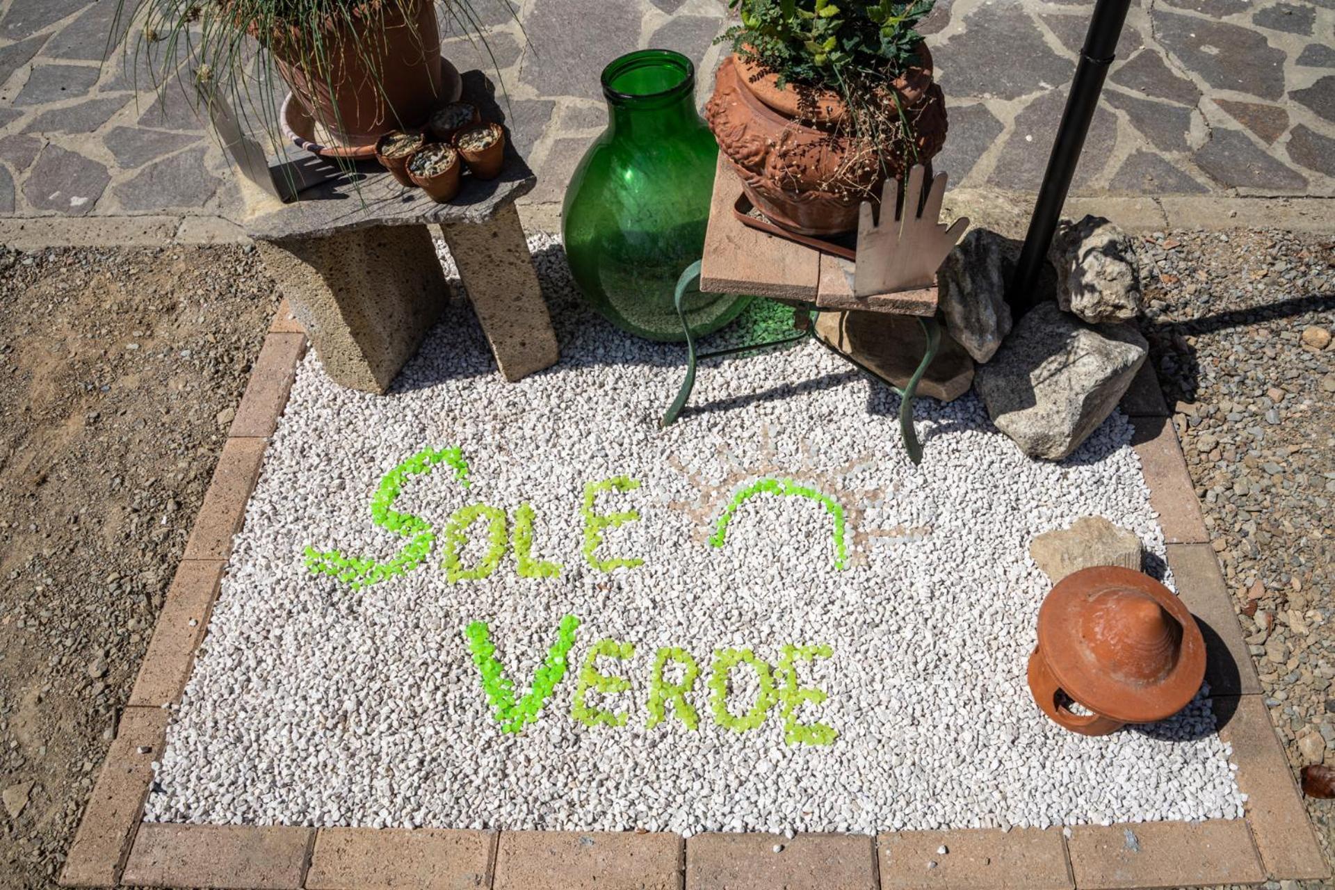 Sole Verde Green House Terricciola Exteriér fotografie